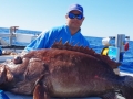 Andrew with monster Eight Bar Groper