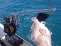randy-paskel-first-fish