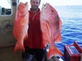 sean-from-fnq