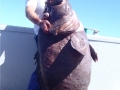 photo 13_2