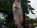 Bass (3)