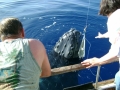 Phil and Lisa with Whale
