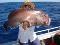 bar cod (3)